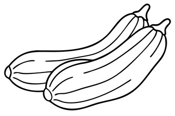 Zucchini Illustration, Fresh Vegetable Sketch, Green Zucchini Drawing