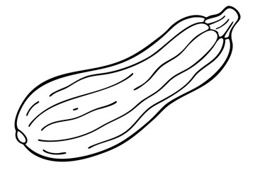 Zucchini Illustration, Fresh Vegetable Sketch, Green Zucchini Drawing