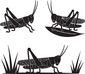 grasshopper on the grass grasshopper icon set silhouette vector style with white background