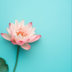 Obraz premium Serene pink lotus blossom floating gently against a calming cyan background