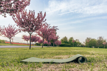 Yoga mat on spring grass near blooming cherry trees