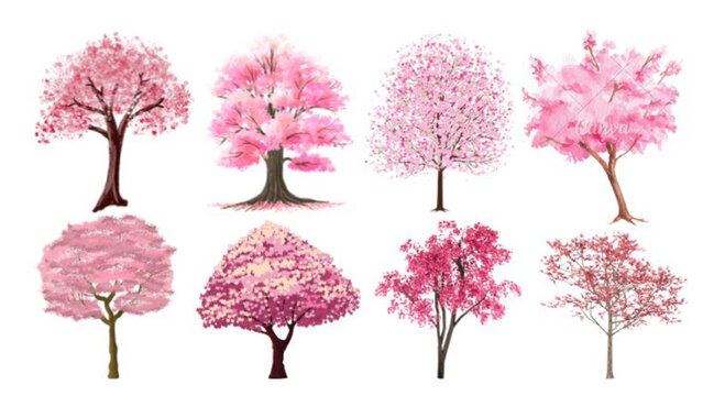 This pink tree vector icons image showcases charming trees in soft, pastel pink tones with simple, elegant designs. Perfect for spring themes, nature-inspired graphics, or whimsical creative projects.