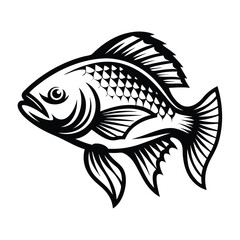 Black and White Fish Detailed Scales, Fins, and Eye on White Backdrop