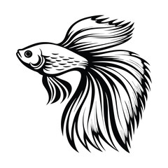 Detailed Black and White Betta Fish with Flowing Fins & Tail Design