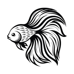 Elegant Black and White Betta Fish With Detailed Fin and Tail Design