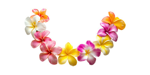 Colorful Plumeria Flowers Arranged In A Semi-Circle. Tropical Floral Design Isolated On Transparent Background