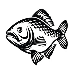 Detailed Black and White Carp Illustration, Fish Drawing With Detailed Scales, Fins 83