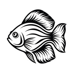 Detailed Line Art of Fish Illustration, Stylized Black Ink Drawing on White Background