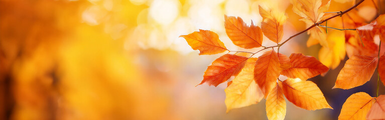 Warm Toned Autumnal Leaves on a Branch