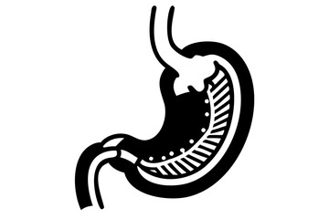 Fototapeta premium Human Stomach Silhouette for Medical Graphics, Health Illustrations, and Anatomy Art