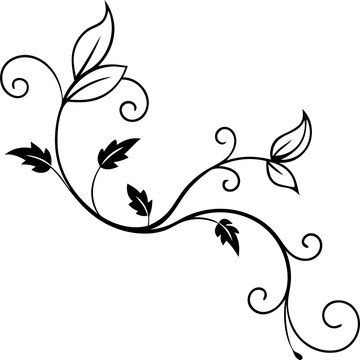 Lines, flower vines, abstract