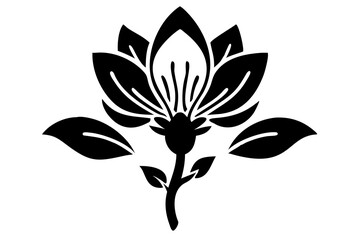 Fototapeta premium Magnolia Flower Illustration, Elegant Magnolia Blossom Sketch, Beautiful Magnolia Bloom Drawing, PNG Transparent