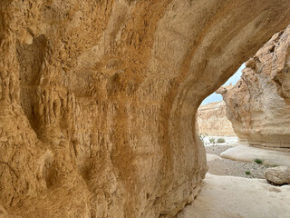 Landscape in Israel. Extreme trip in desert. Attractive and unique place - canyon sandy of color created by forces of nature, bizarre and different shapes.