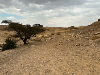 Extreme trip in desert. Attractive and unique place - canyon sandy of color created by forces of...