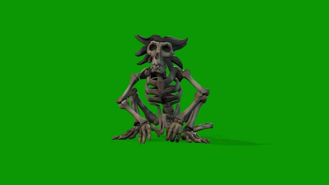 Monkey Skeleton hands clap 3D Rendering Animation On Green Screen