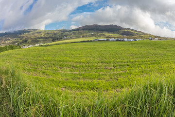 Pâturages de la Grande Ferme, Bourg-Murat, île de la Réunion 