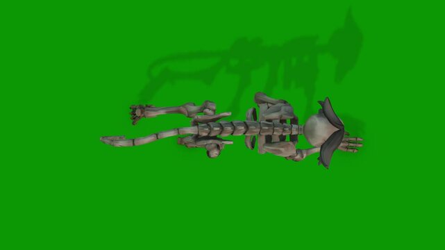 Monkey Skeleton running fast view from Sky 3D Rendering Animation On Green Screen