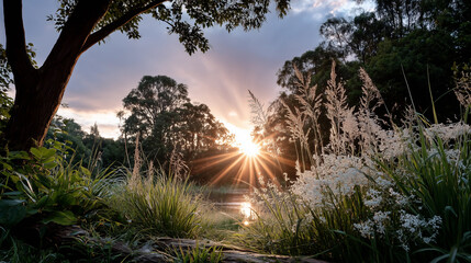 View of sunrise in the morning in nature