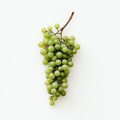 Fresh green grapes bunch (1)