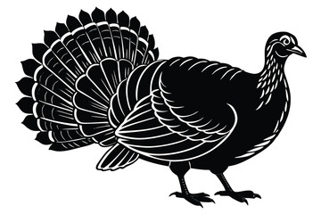  turkey silhouette vector illustration. 