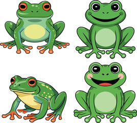Frog vector illustration