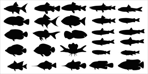 "Fish Silhouettes Collection | Black and White Marine Vector Set"


