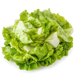 The fresh cut romaine lettuce displays crisp green leaves with refreshing white stems and textures are highlighted against a clean white studio background outdoors.
