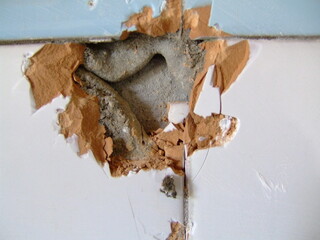 Surface texture reveals damage beneath tiles in a residential area, highlighting wear and age
