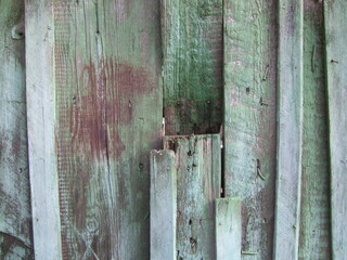 Weathered wooden planks with green texture showing signs of age and wear in a rustic setting