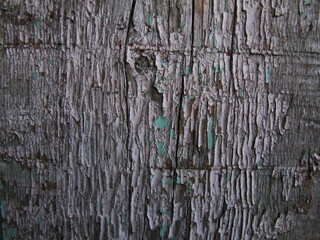 Detailed texture of weathered wood with peeling paint in muted tones captured in natural light