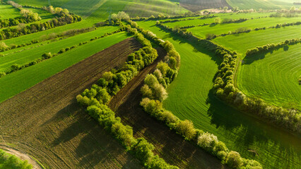 Springtime Countryside in Moravia – Waves of Cultivated Land