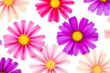 Fototapeta premium bunch of colorful flowers on a white background