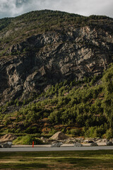 Norwegian fjord mountain landscape with a highway at the foot and green trees.