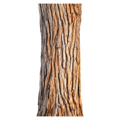 Fototapeta premium Detailed close-up of natural wood tree trunk with bark texture, isolated on transparent background.