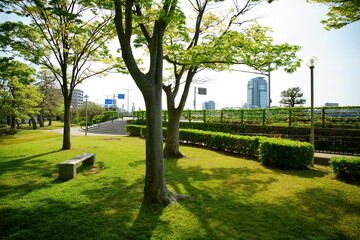 新緑が美しい春の松江市の市街地と公園