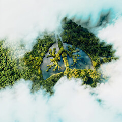 Concept Image of Human Lungs Shaped from Forest and Lake – Aerial Drone View
