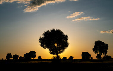 Atardecer en el campo