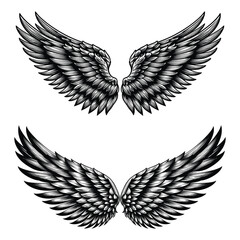 wings set vector