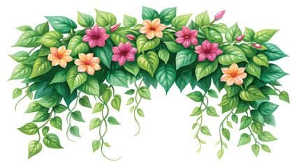 Flower creeper watercolor with white background 