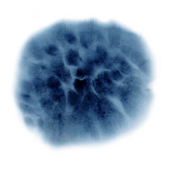 Watercolor or ink indigo color blot or spot texture. Wet stains fluid. Abstract hand painting fluidity smudge background isolated on white. Dark matter or portal fantastic planet, space or universe
