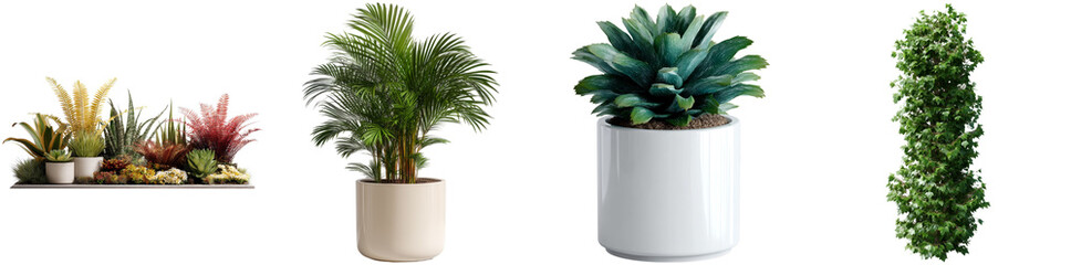 Obraz premium Display features a variety of indoor plants in modern pots, enhancing aesthetic appeal. Ideal for adding greenery to living spaces or work environments