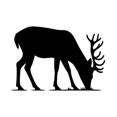 Silhouette of a majestic stag.