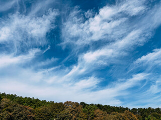 Obraz premium Serene sky with clouds over a forest landscape in bright daylight