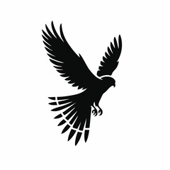 Fototapeta premium A black bird flies right.