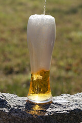 Beer. A glass of beer close-up against the setting sun. A cold, light craft beer in a glass