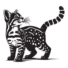 Sleek margay silhouette – margay vector – margay illustration – silhouette of margay

