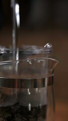 Brewing Tea A CloseUp View of the Infuser and Fresh Tea Leaves Unveiled for All. Media
