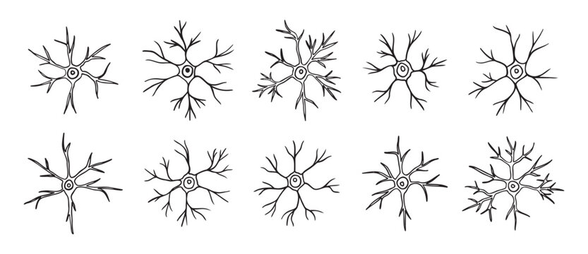 neurons or neuron cells doodle hand drawn icon set. Outline pyramidal neurons drawing line clipart symbol collection