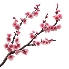 Delicate blossoms on a branch against a pastel backdrop.