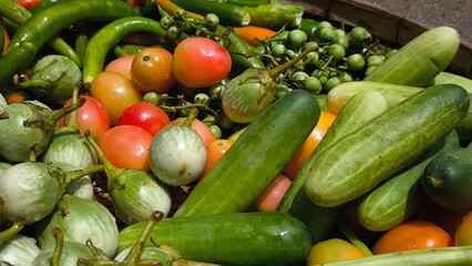 Fresh vegetables for cooking. Vegetables contain dietary fiber that helps cleanse the intestines.
